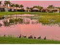 Picturesque pond view at sunset with a flock of ducks resting on the shoreline in a lush community at 15707 Crystal Waters Dr, Wimauma, FL 33598