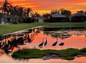 Scenic pond view at sunrise featuring herons perched on a grassy islet, reflecting community homes at 15707 Crystal Waters Dr, Wimauma, FL 33598