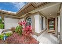Inviting front entry with decorative plants and a glass accented door at 5519 Greyston St, Palm Harbor, FL 34685