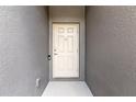 Six-panel front door of the home with secure smart lock and matching wall paint at 6406 Sanctuary Creek Ln, Tampa, FL 33625