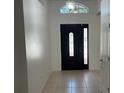 Bright entryway with tile flooring and decorative front door with transom window above at 8908 Southbay Dr, Tampa, FL 33615