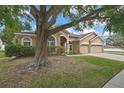 Landscaped front yard featuring a mature tree that provides shade to the well-maintained property at 10322 Riverburn Dr, Tampa, FL 33647