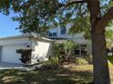 Charming two-story home featuring a well-maintained lawn, mature trees, and a two-car garage at 4810 Diamonds Palm Loop, Wesley Chapel, FL 33543