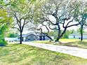 Landscaped front yard with mature trees and a long driveway leading to a well-maintained home at 11268 Shivering Owl Ave, Weeki Wachee, FL 34614