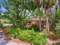 A brick home surrounded by lush landscaping, mature trees, and vibrant greenery at 402 S Barbara Ln, Tampa, FL 33609