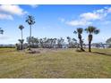 Expansive vacant property featuring mature palm trees and lush grass with waterfront views at 636 Sunset S Dr, St Petersburg, FL 33707