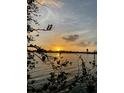 Beautiful sunset reflecting on water with tree branch silhouette at 636 Sunset S Dr, St Petersburg, FL 33707