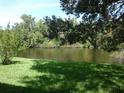 Scenic view of a pond surrounded by lush greenery and trees, offering a tranquil and private setting at 281 Cypress Ln, Oldsmar, FL 34677
