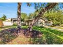 Landscaped front yard with mature trees enhancing this home's curb appeal at 2988 Sugar Bear Trl, Palm Harbor, FL 34684