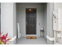 Inviting front porch and entryway featuring a dark front door with welcome mat and decorative accents at 33083 Frosted Clover Way, Wesley Chapel, FL 33545