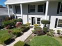 Inviting entrance with manicured bushes leading up to the front door at 5348 Saddlebrook Way # 2, Wesley Chapel, FL 33543