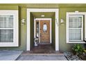Inviting entryway with a decorative front door and well-manicured landscaping at 4161 Rolling Springs Dr, Tampa, FL 33624