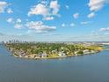 Expansive aerial view of waterfront homes nestled along the coast, with a distant cityscape on the horizon at 90 Martinique Ave, Tampa, FL 33606