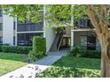 Condo complex walkway up to the units with landscaping and shady trees at 3166 Lake Pine S Way # E3, Tarpon Springs, FL 34688