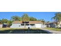 Lovely one-story home with a manicured lawn, palm trees, and a one-car garage at 1007 Greenleaf Way, Tarpon Springs, FL 34689