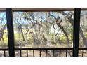 Screened-in patio offers calming views of lush trees and foliage at 11411 Pike Ct # 6, New Port Richey, FL 34654
