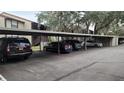 Community parking featuring covered carports for residents and guests at 12041 Environmental Dr # 6, New Port Richey, FL 34654