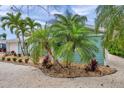 This beautifully landscaped yard features tropical plants and light colored gravel around the perimeter of the home at 504 69Th St, Holmes Beach, FL 34217