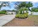 Charming single-story home featuring a well-maintained lawn and driveway at 8115 N Ola Ave, Tampa, FL 33604