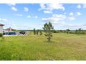 Spacious backyard with lush grass and a view of an open field, perfect for outdoor activities and relaxation at 8598 Parsons Hill Blvd, Wesley Chapel, FL 33545