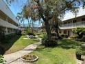 Relaxing courtyard featuring lush green lawns, mature trees, walking paths, and seating for outdoor enjoyment at 10032 65Th N Ave # 14, St Petersburg, FL 33708