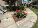 Well-manicured landscaping featuring a vibrant flower bed on a sidewalk with tropical plants creating a tranquil environment at 10032 65Th N Ave # 14, St Petersburg, FL 33708
