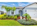Close-up shot of home entrance showing detailed landscaping, a glass front door, and well-kept lawn at 12916 Brookside Moss Dr, Riverview, FL 33579