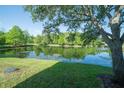 Scenic view of a tranquil pond surrounded by lush greenery and trees with a clear blue sky at 6507 Spring Oak Ct, Tampa, FL 33625