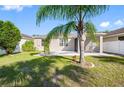 A backyard featuring well-maintained grass, a palm tree, and a screened-in patio area at 11207 Flora Springs Dr, Riverview, FL 33579