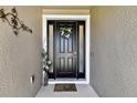 Close-up of front door featuring sidelights, a decorative wreath and fresh flowers at 16625 Goose Ribbon Pl, Wimauma, FL 33598