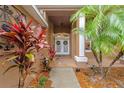 Inviting front entrance with double doors, decorative plants, and manicured landscaping at 2539 Centennial Falcon Dr, Valrico, FL 33596