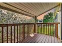 Relaxing porch view overlooking a grassy yard with mature trees and distant home at 130 Sabal Ct # C, Oldsmar, FL 34677