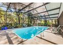 Large screened-in pool surrounded by lush greenery at 34651 Appaloosa Trl, Zephyrhills, FL 33541