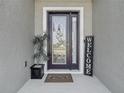 Inviting front entrance featuring a decorative glass door, welcome mat, and potted plant at 10978 Laxer Cay Loop, San Antonio, FL 33576