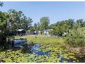 Scenic backyard of a charming home, complete with waterfront access and a serene pond filled with lily pads at 17111 Mockingbird Ln, Lutz, FL 33548
