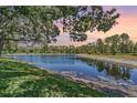 Scenic view of a calm pond surrounded by lush greenery and mature trees at 17537 Fairmeadow Dr, Tampa, FL 33647