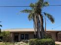 Charming one story home with a mature palm tree in the front yard at 2172 Harbor View Dr, Dunedin, FL 34698