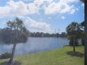 Relaxing water view from the back porch of a condo, featuring a serene lake and palm trees at 224 Cypress Ln # 224, Oldsmar, FL 34677