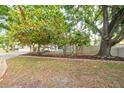 View of the home and mature trees showcasing the front yard and landscaping at 8031 7Th N St, St Petersburg, FL 33702