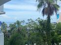 Great view from this balcony, overlooking the ocean and swaying palm trees at 5500 Gulf Blvd # 4246, St Pete Beach, FL 33706
