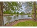 Scenic pond view framed by lush greenery and mature trees, offering a tranquil and picturesque setting at 618 Wheaton Trent Pl, Tampa, FL 33619
