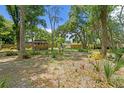 Expansive backyard featuring mature trees and a charming gazebo; perfect for outdoor living at 6213 S Queensway Dr, Temple Terrace, FL 33617