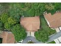 Aerial view of a home with a new roof surrounded by mature trees and lush greenery at 8040 Summerbreeze Ter, Spring Hill, FL 34606