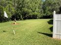 Expansive backyard featuring lush greenery, a water fountain, and a golf flag, offering a serene outdoor space at 819 Satinleaf Ave, Oldsmar, FL 34677