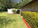 Landscaped backyard with a privacy fence, manicured hedges, and a well-maintained lawn, perfect for relaxation at 819 Satinleaf Ave, Oldsmar, FL 34677