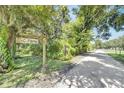 Scenic driveway leading to C&C Farm, surrounded by lush greenery and mature trees draped with Spanish moss at 9019 S County Line Rd, Lithia, FL 33547