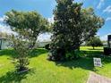 Green back yard with lush trees and manicured lawn that offer privacy and a serene setting at 14334 Teasdale Ave, Hudson, FL 34667