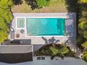 Aerial view of the backyard showcasing the pool, spa, patio and tropical landscaping at 3607 W Roland St, Tampa, FL 33609