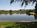 Peaceful pond reflecting the surrounding homes in a tranquil community setting at 19232 Barred Owl Ct, Land O Lakes, FL 34638