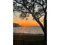 Stunning sunset view with a large tree silhouetted in the foreground over calm waters at 2700 Bayshore Blvd # 519, Dunedin, FL 34698